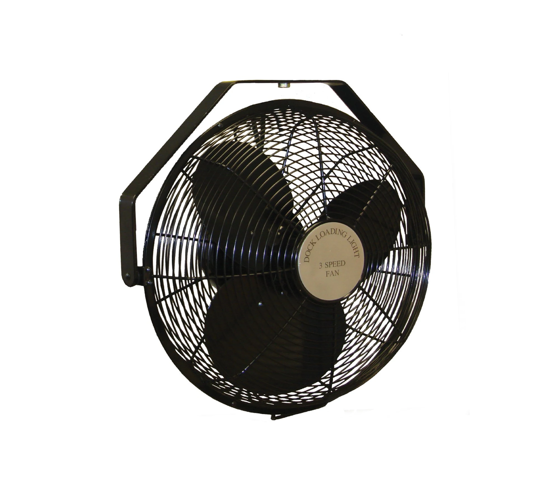 Fans