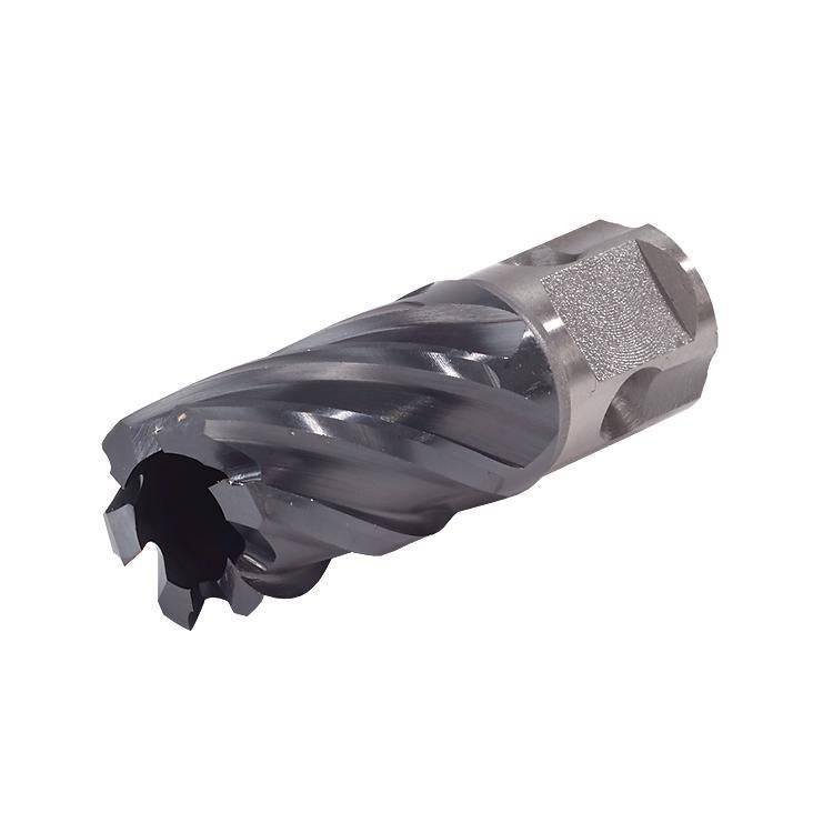 WALTER Icecut 05F104 cutting bit with 1-1/4 inch diameter and 1-inch depth, featuring a universal shank for masonry cutting.